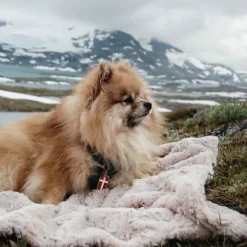 Trixie Cosy hundetæppe
