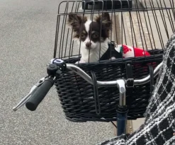 Trixie cykelkurv sortbejset flet med gitter