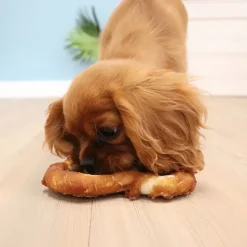 Trixie Denta Fun Chicken Heart