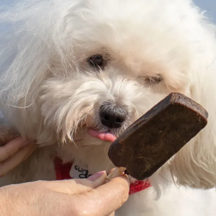 Trixie Dentafun hundeis | Chicken Pops