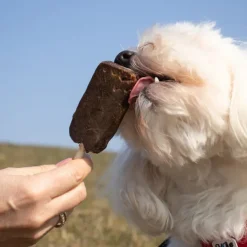 Trixie Dentafun hundeis | Chicken Pops