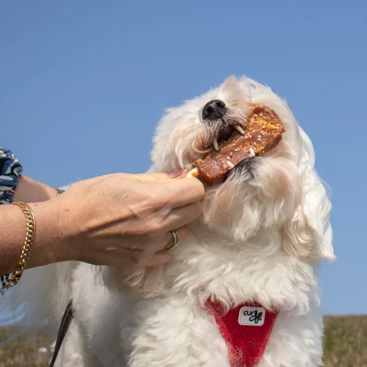 Trixie Dentafun hundeis | Chicken Pops