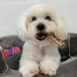 Trixie Denta Fun Veggie Jaw Bone