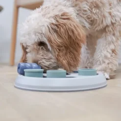Trixie Dog activity Flip & Fun | Level 2