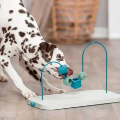 Trixie Dog Activity Skills Loop | plast/metal