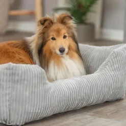 Trixie Jonna vital hundeseng i fløjl