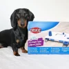 Trixie Move2win | Aktivitetsspil level 3