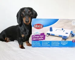 Trixie Move2win | Aktivitetsspil level 3
