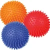 Trixie Pindsvinebold | Tandrensende