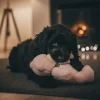 Trixie plysbamse i lyserød