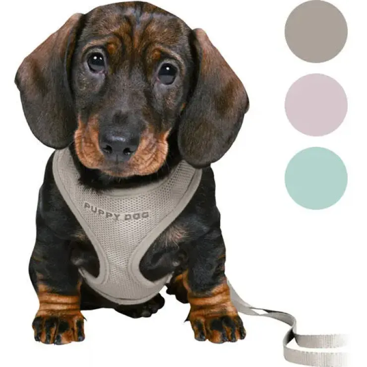 Trixie Puppy Dog hvalpesele og line