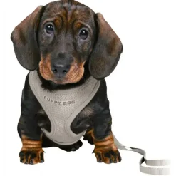 Trixie Puppy Dog hvalpesele og line