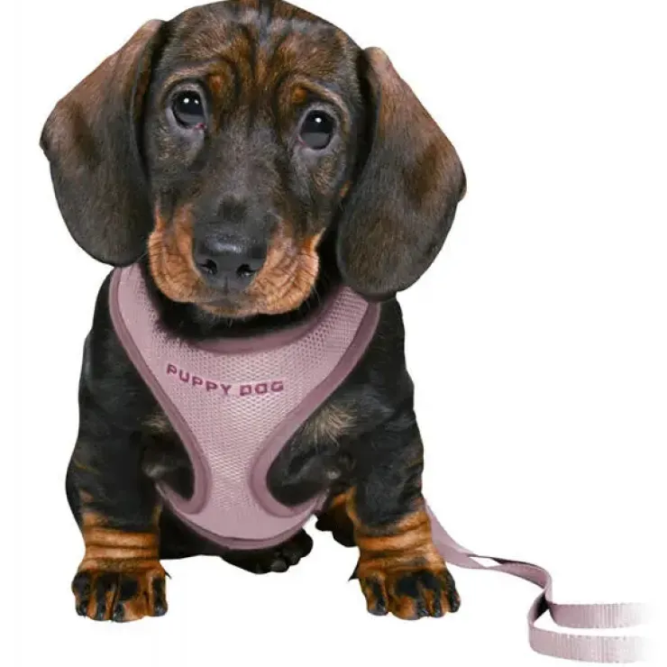 Trixie Puppy Dog hvalpesele og line