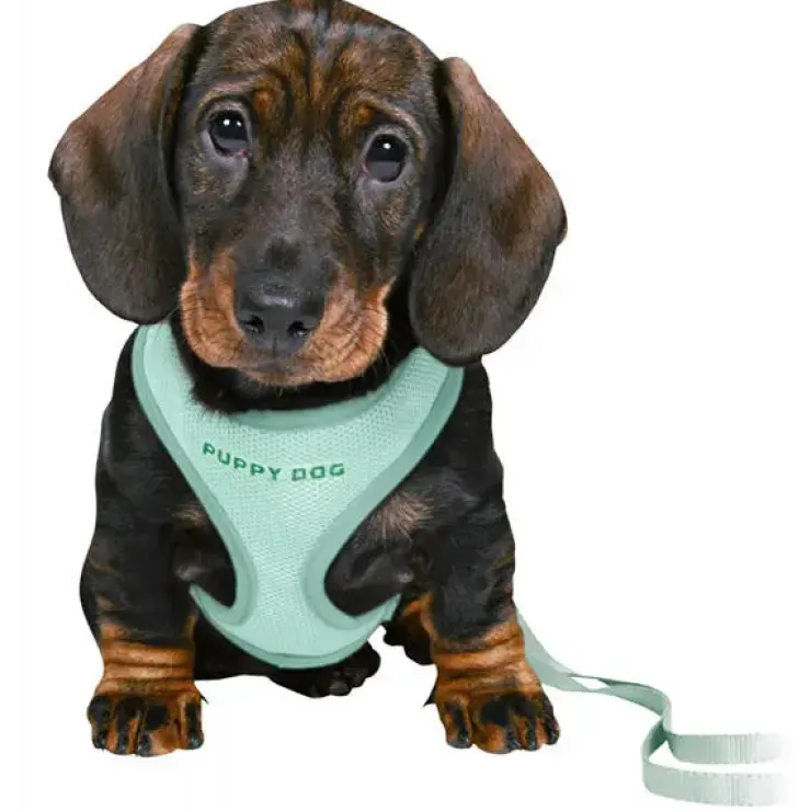 Trixie Puppy Dog hvalpesele og line