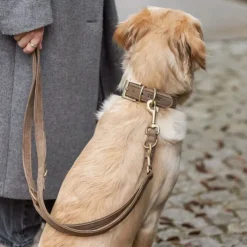 Trixie Pure hundehalsbånd | Ekstra bred