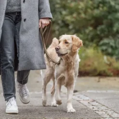 Trixie Pure Hundesnor| Brun læder