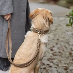 Trixie Pure Hundesnor| Brun læder