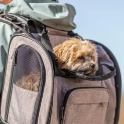 Trixie Shiva rygsæk til hunde | Khaki