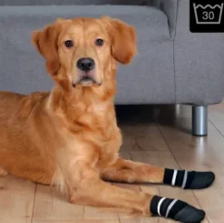 Trixie Skridsikre hundestrømper | OUTLET
