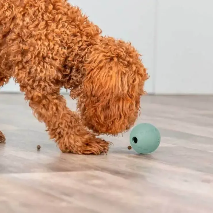 Trixie Snack Ball | Labyrint