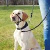 Trixie Top Trainer Snudesele