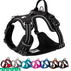 TrueLove Explosion Proof | LUKSUS Hundesele