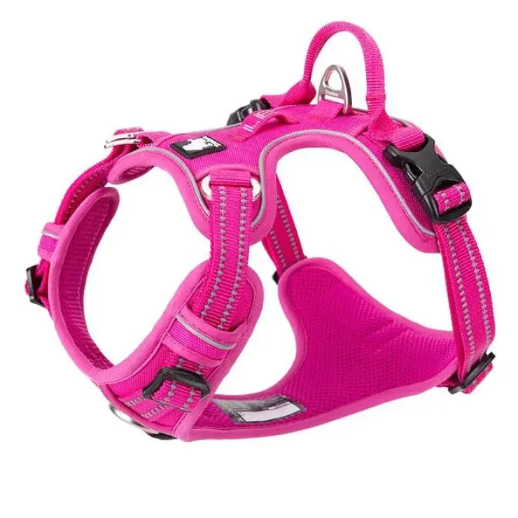 TrueLove Explosion Proof | LUKSUS Hundesele