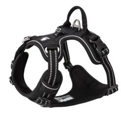 TrueLove Explosion Proof | LUKSUS Hundesele