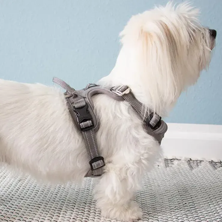 TrueLove Explosion Proof | LUKSUS Hundesele