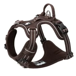 TrueLove Explosion Proof | LUKSUS Hundesele
