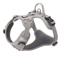 TrueLove Explosion Proof | LUKSUS Hundesele