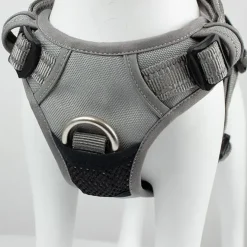 TrueLove Explosion Proof | LUKSUS Hundesele