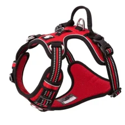 TrueLove Explosion Proof | LUKSUS Hundesele