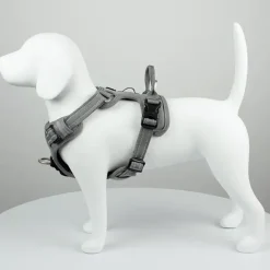 TrueLove Explosion Proof | LUKSUS Hundesele