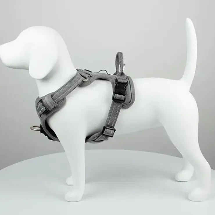 TrueLove Explosion Proof | LUKSUS Hundesele