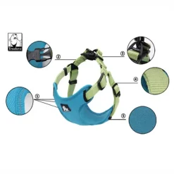 TrueLove Step in sele | OUTLET