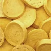 VeggiePet Sweet Potato Biscuits | 100g