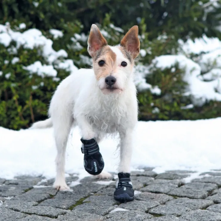 Walker Active Protective boots | hundestøvler 2 stk.