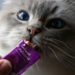 Woolf Wildcat Cream Godbid | 5 Sticks