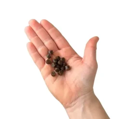 Woolf WildCat Semi-Moist Godbidder | 50g